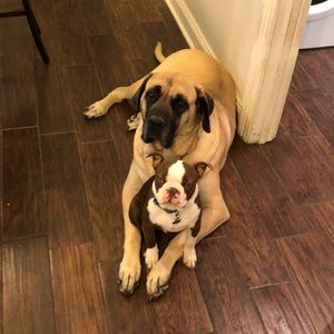 Meet your Posher, Candi